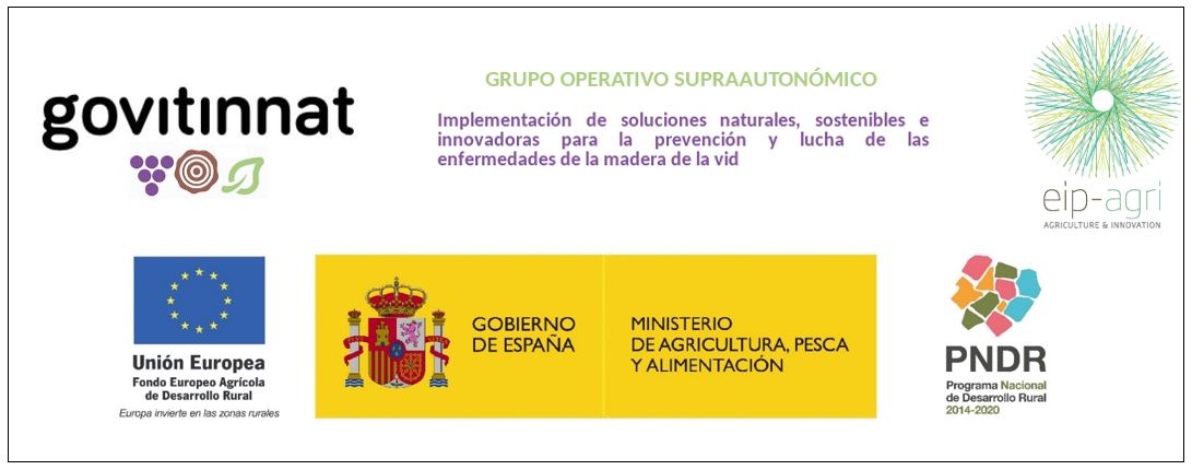 Nace Govitinnat: Soluciones naturales para el control de enfermedades de madera