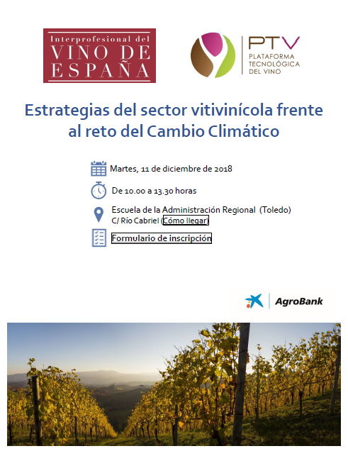 El sector del vino se dará cita en Toledo para afrontar el reto del Cambio Climático