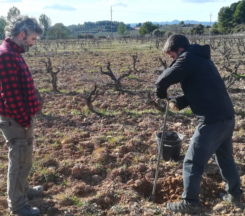 El proyecto LIFE PRIORAT+MONTSANT avanza con paso firme en su apuesta por la Sostenibilidad Vitivinícola