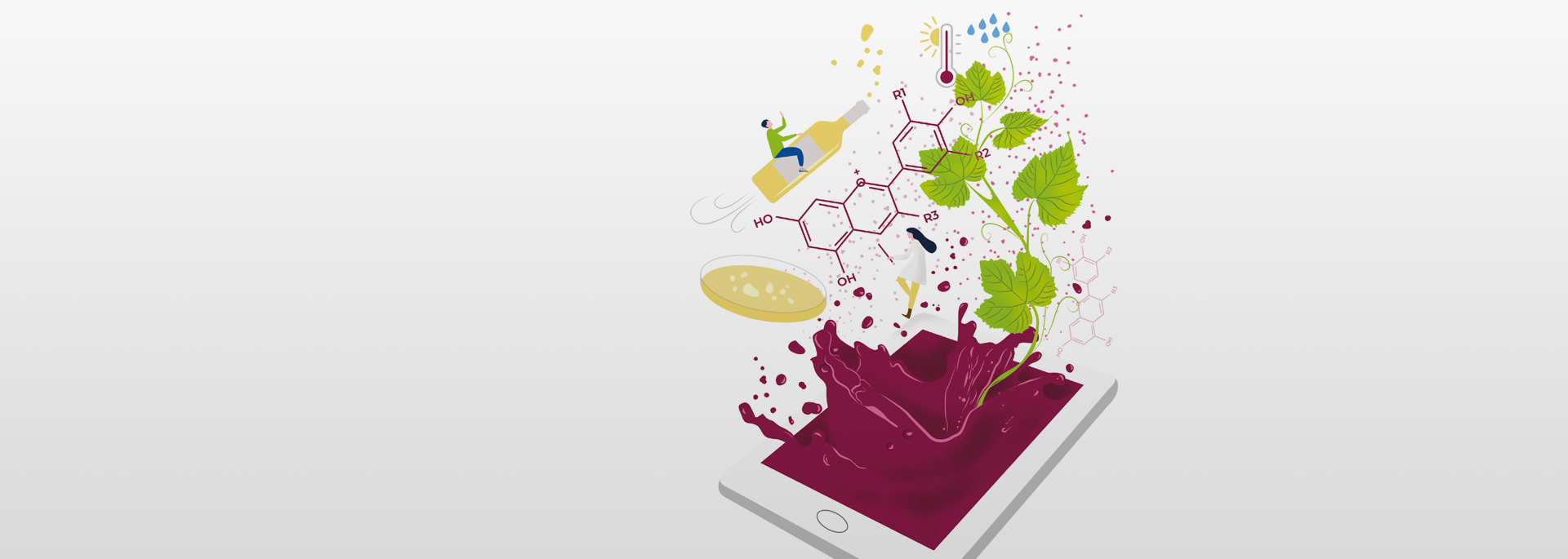 AGENDA ESTRATÉGICADE INNOVACIÓNDEL SECTOR DEL VINO 2021/24