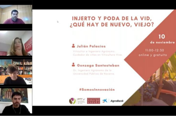 Webinar «Injerto y poda de la vid, ¿Qué hay de nuevo, viejo?» – Vídeo completo