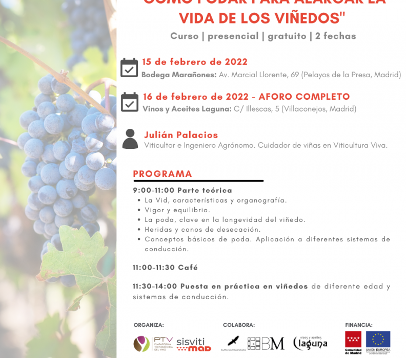 Curso presencial «Cómo podar para alargar la vida de los viñedos»