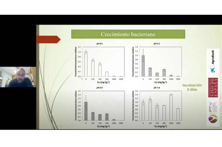 Webinar «Regeneración y conservación del suelo vitícola» – Vídeo completo