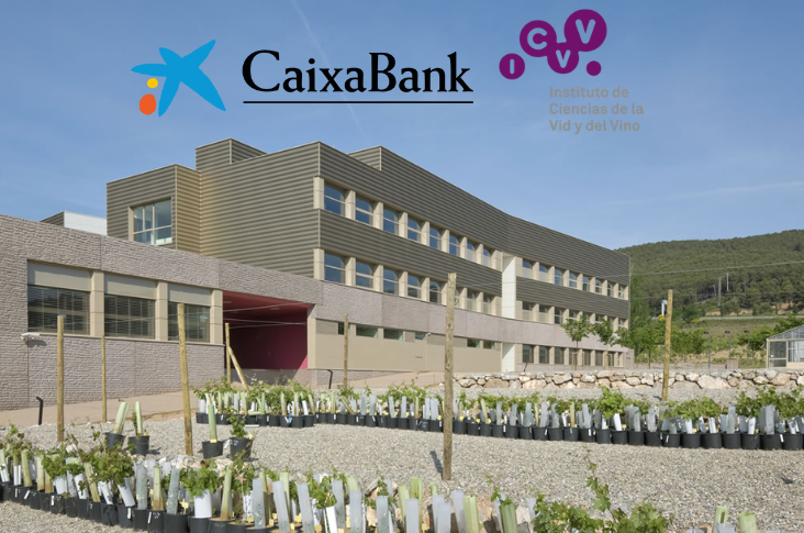 VII Jornada de la Cátedra de AgroBank