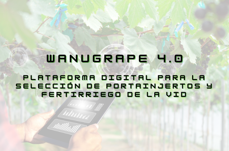 WANUGRAPE 4.0 presentará su nueva plataforma digital para la selección de portainjertos y fertirriego de la vid en un evento en Madrid