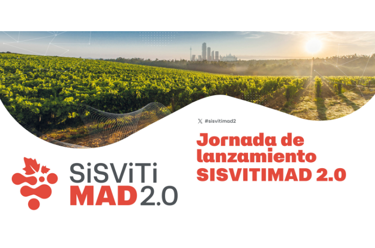 Nuevo impulso a la I+D+i del sector vitivinícola madrileño con el lanzamiento del proyecto SiSViTiMAD 2.0