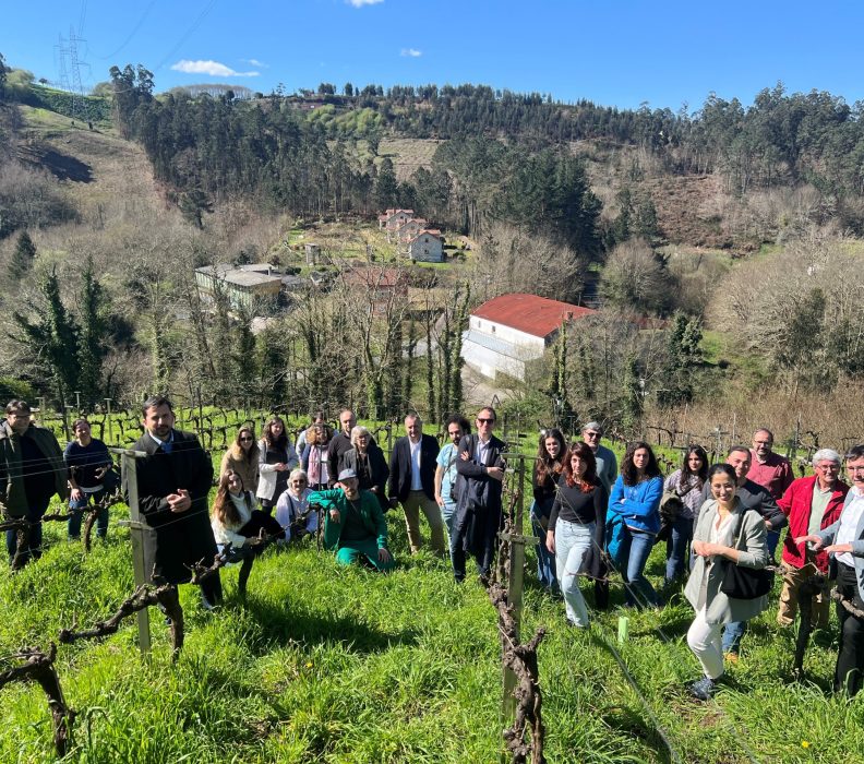 Arranca el proyecto ECOSPHEREWINES para mejorar el capital natural del viñedo para su conservación y gestión sostenible